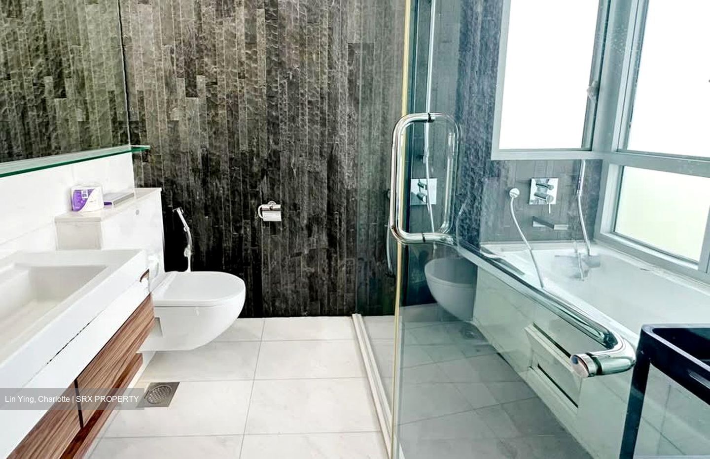 Horizon Residences (D5), Condominium #580571041